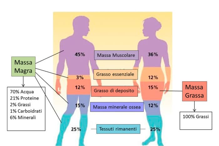 BMI Indice di massa corporea